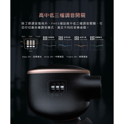 【 FiiO FH5s 】兩圈兩鐵MMCX單晶銅鍍銀可換線耳機 黑色