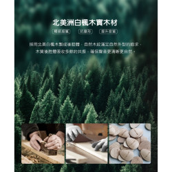 【SIVGA QUE HiFi入耳式鈹振膜動圈CIEM可換線耳機】北美白楓木/高純度銅鍍銀線/附多對替換耳塞