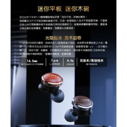【FiiO FP3 平板振膜CIEM可換線原木耳機】Hi-Res/28奈米晶片/14.5mm入耳式平板振膜